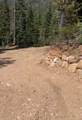  Bitterberry Circle - Photo 5