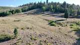 1989 Dry Lakes Rd - Photo 101