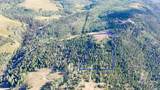 1989 Dry Lakes Rd - Photo 103