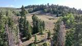 1989 Dry Lakes Rd - Photo 110