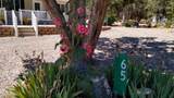 65 Butch Cassidy Trail - Photo 4