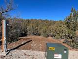 3842 Canyon Cove - Photo 4