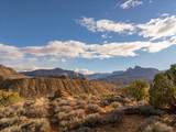  Claret Cup Lane - Photo 16