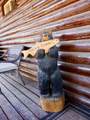 1741 Red Canyon Dr Dr - Photo 40