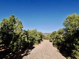 1741 Red Canyon Dr Dr - Photo 41