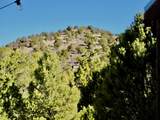 1741 Red Canyon Dr Dr - Photo 46