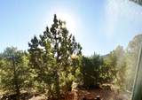 1741 Red Canyon Dr Dr - Photo 47