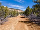  Nielsen Dr - Photo 12