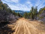  Nielsen Dr - Photo 15