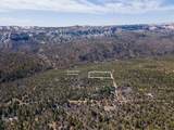  Nielsen Dr - Photo 22