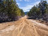  Nielsen Dr - Photo 4