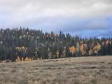 5465 Berry Loop Lp - Photo 13