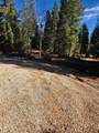 5465 Berry Loop Lp - Photo 2