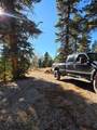 5465 Berry Loop Lp - Photo 3