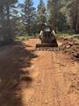 5465 Berry Loop Lp - Photo 4