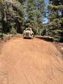 5465 Berry Loop Lp - Photo 6