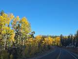 5465 Berry Loop Lp - Photo 8