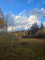 5465 Berry Loop Lp - Photo 9