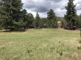 2655 Cedar Dr - Photo 1