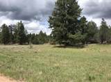 2655 Cedar Dr - Photo 3