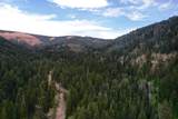 20 Acres Stevens Canyon - Photo 29