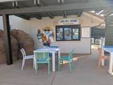 3780 Arcadia Dr - Photo 69
