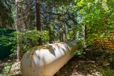 62 Fork County Rd - Photo 40