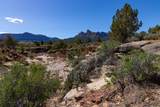 2495 Navajo Circle - Photo 14