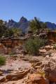 2495 Navajo Circle - Photo 15