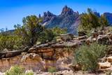2495 Navajo Circle - Photo 16