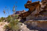 2495 Navajo Circle - Photo 20