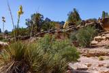 2495 Navajo Circle - Photo 23