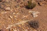 2495 Navajo Circle - Photo 30