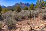 2495 Navajo Circle - Photo 32