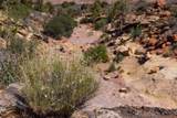 2495 Navajo Circle - Photo 41