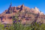 2495 Navajo Circle - Photo 43
