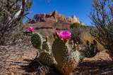 2495 Navajo Circle - Photo 9