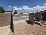 3164 Livia Dr - Photo 23