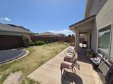 3164 Livia Dr - Photo 28
