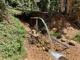 2008 Brown Bear Road - Photo 12