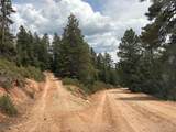 2008 Brown Bear Road - Photo 13