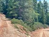 2008 Brown Bear Road - Photo 14