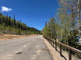 2008 Brown Bear Road - Photo 17