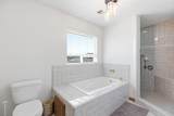1781 Alondra Cir - Photo 34
