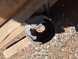 5 Box Canyon Rd - Photo 10