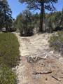 5 Box Canyon Rd - Photo 24