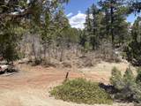 5 Box Canyon Rd - Photo 25