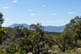 TBD Pinion Hills Dr - Photo 5