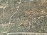 40 acres Off Of Hwy 56 - Photo 3
