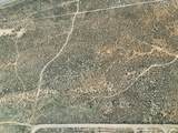 40 acres Off Of Hwy 56 - Photo 4